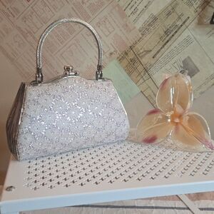 Elegant Silver Evening Clutch